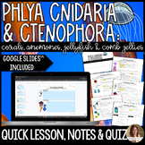 Phyla Ctenophora & Cnidaria Lesson Guided Notes and Assess