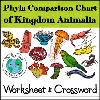 Phyla Comparison Chart of Kingdom Animal & Animal Evolution Crossword Puzzle