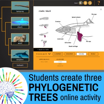 Preview of Phylogenetic Trees: Guide for 'All in the Family' Online Activity