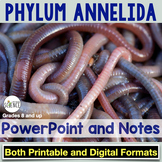 Phylum Annelida Earthworm Powerpoint and Notes