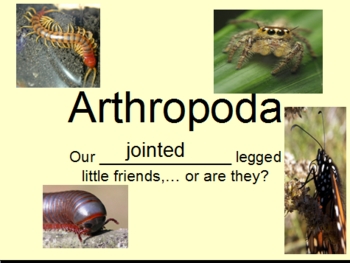 Preview of Phylum Arthropoda Powerpoint (Insects. Arachnids, and Others)