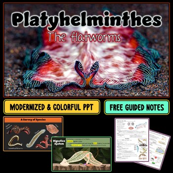 Preview of Phylum Platyhelminthes (Flatworms) PowerPoint Slideshow + FREE Guided Notes