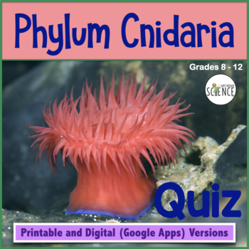 phylum cnidaria homework and study guide