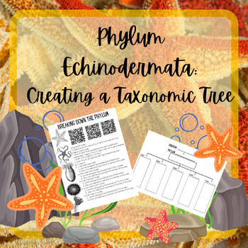 Preview of Phylum Echinodermata: Create a Taxonomic Tree