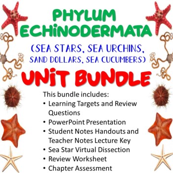 Preview of Phylum Echinodermata Unit Bundle (Sea Stars, Sea Urchins, Sand Dollars, etc.)