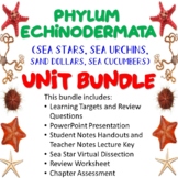 Phylum Echinodermata Unit Bundle (Sea Stars, Sea Urchins, 