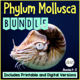 phylum mollusca homework and study guide
