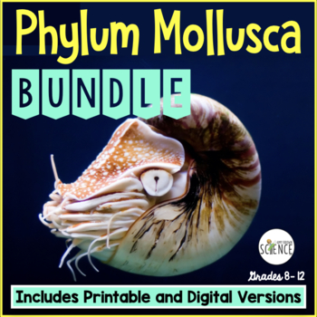 Preview of Phylum Mollusca Bundle