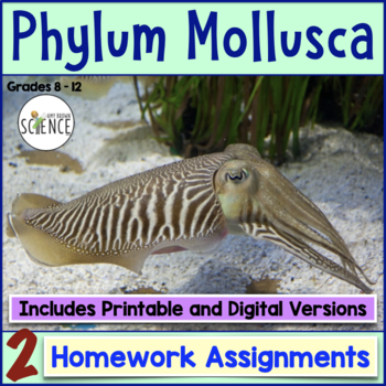 Preview of Phylum Mollusca Homework - Mollusks
