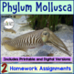 phylum mollusca homework and study guide #1