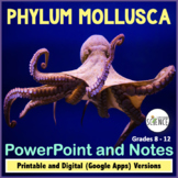 Phylum Mollusca Powerpoint and Notes - Mollusks