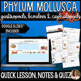 Phylum Mollusca Lesson Guided Notes and Assessment - Marin