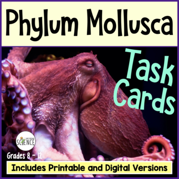Preview of Phylum Mollusca Task Cards