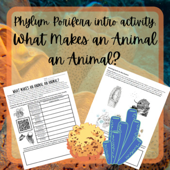Preview of Phylum Porifera: What Makes an Animal an Animal?