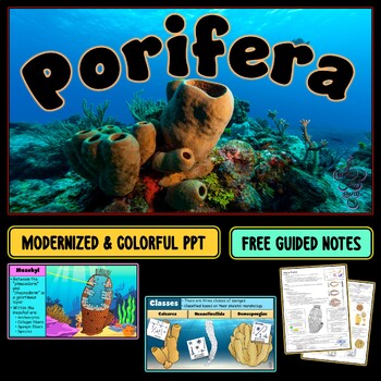 Preview of Phylum Porifera (the sponges) PowerPoint Slideshow + FREE Guided Notes