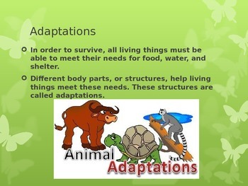 define activity adaptation