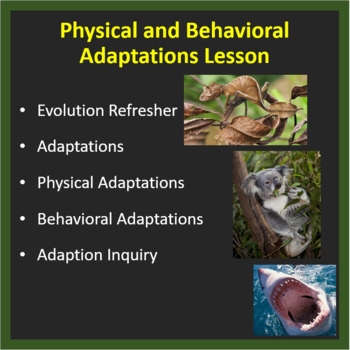 Preview of Physical & Behavioral Adaptations: Increasing an organisms chances of survival