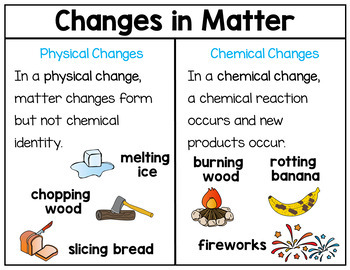 Physical Change and Chemical Change Sort (Changes in Matter) Worksheet