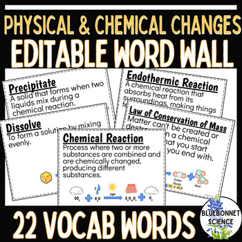 Preview of Physical Chemical Changes Word Wall (NEW 2024 TEKS 7.6C)