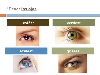 Preview of Physical Description Spanish 1 Vocabulary Input PPT (Realidades 5B)