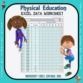 Preview of Physical Education Excel Data Worksheet- Editable