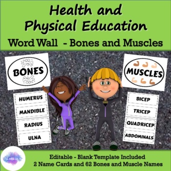 Preview of Physical Education and Health Word Wall - BONES AND MUSCLES - EDITABLE