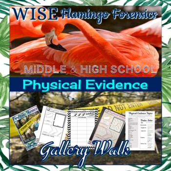 Preview of Physical Evidence Banner and Gallery Walk Project