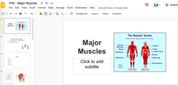 Preview of Physical Health and Education - Career Life Education - Major Muscles