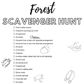 Preview of Physical Science, Forest Scavenger Hunt