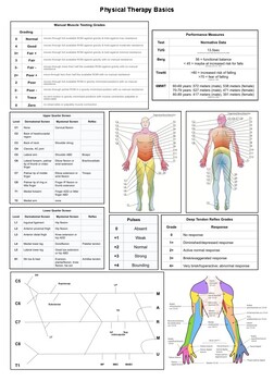 Preview of Physical Therapy Basics Reference Sheet