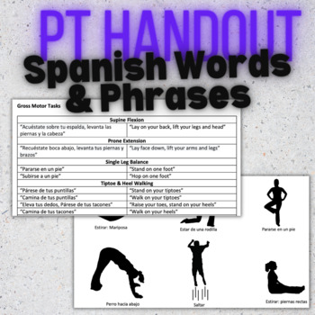 Preview of Physical Therapy in Spanish: Common Terms and Phrases