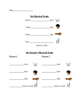 Preview of Physical Traits Worksheet