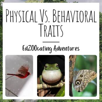Preview of Physical Vs. Behavioral Traits | Lesson with Video, Readings, Quizzes, and More!