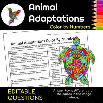 Animal Adaptations Choice Board  Exploring Physical Adaptations