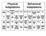 Physical vs. Behavioral Adaptations Sorting