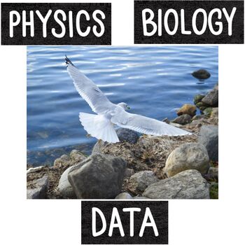 Preview of Physics Seagull Data High School Science Part 1 of Seagull lab