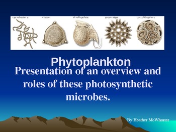 Preview of Phytoplankton Overview Presentation