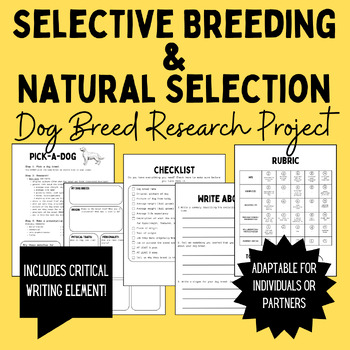 Preview of Pick-A-Dog: Selective Breeding & Natural Selection Research Project/Activity