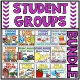 Pick a Partner Student Groups BUNDLE