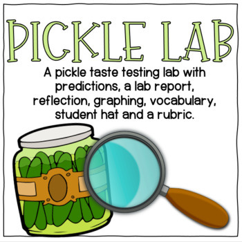 Preview of Pickle Taste Testing Lab Report and Rubric