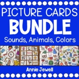 Picture Card Bundle - Beginning Sounds, Ending Sounds, Col