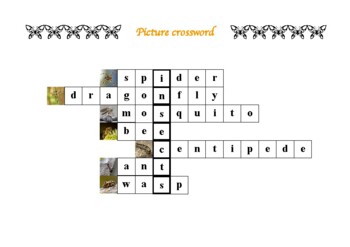 Picture Crossword of Insects by Keep Wondering TPT