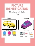 Picture Identification (Attributes) FO3 - English Language Arts