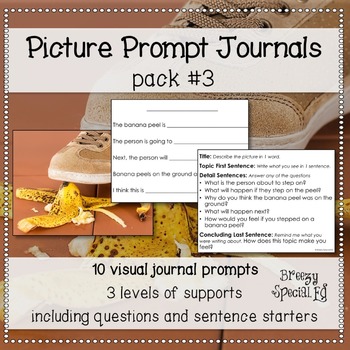 Preview of Picture Journal Prompts 3 {Leveled Writing} for Special Education