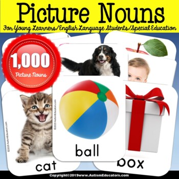 Preview of Picture Nouns for Speech Therapy Vocabulary Language ELL and Autism