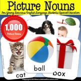 Picture Nouns for Speech Therapy Vocabulary Language Development Skills Bundle