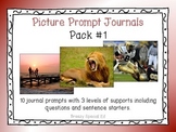 Picture Prompts 1 - Leveled Journal Writing for Special Ed