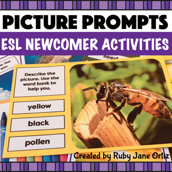 Preview of Picture Prompts for Writing and Speaking - ESL Newcomer Activities