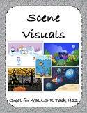 Picture Scene Visual Cards [Great for ABLLS-R Task H22 Stimuli]