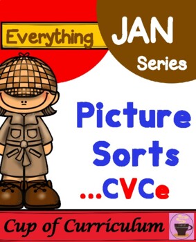 Preview of Picture Sorts CVCe